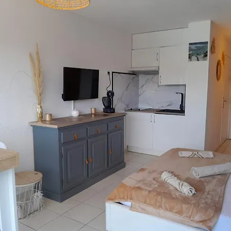 Апартаменты Naturistecapdagde L'indigo Агд