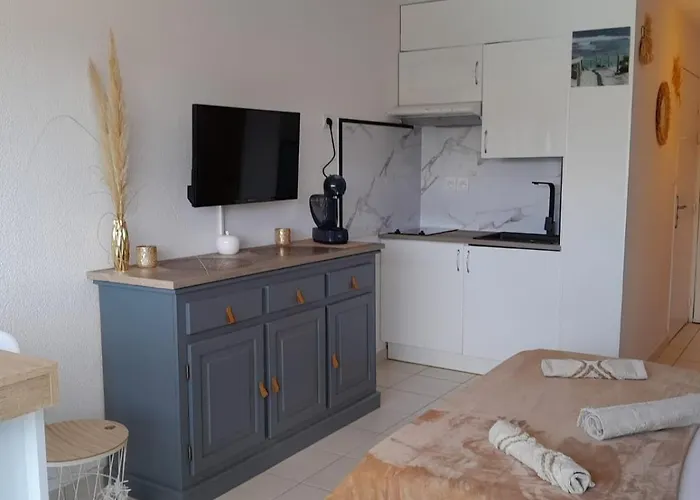 Lejlighed Naturistecapdagde L'indigo Agde